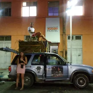 Mangue Oranje - No Bairro Do Antigo - Old Town Recife